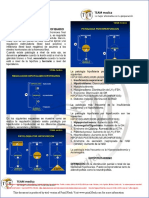 Endocrinología 1