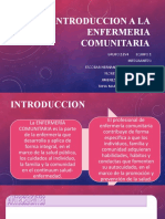 Introduccion A La Enfermeria Comunitaria