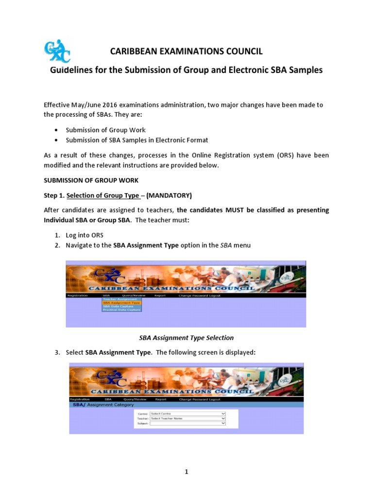 SBA Submission Guidelines 2023 | PDF | Menu (Computing) | Computer File