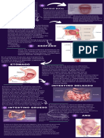 Aparato Digestivo Infografía