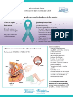 1-FICHA-TECNICA-CANCER-CERVICO-UTERINO