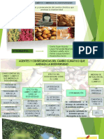 Agentes y Consecuencias Del Cambio Climático