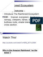 Introduction To Rainforests