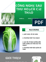 Tìm hiểu về cnsth cải thảo Nhóm 12 5