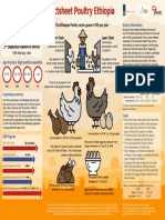 Factsheet Poultry Ethiopia