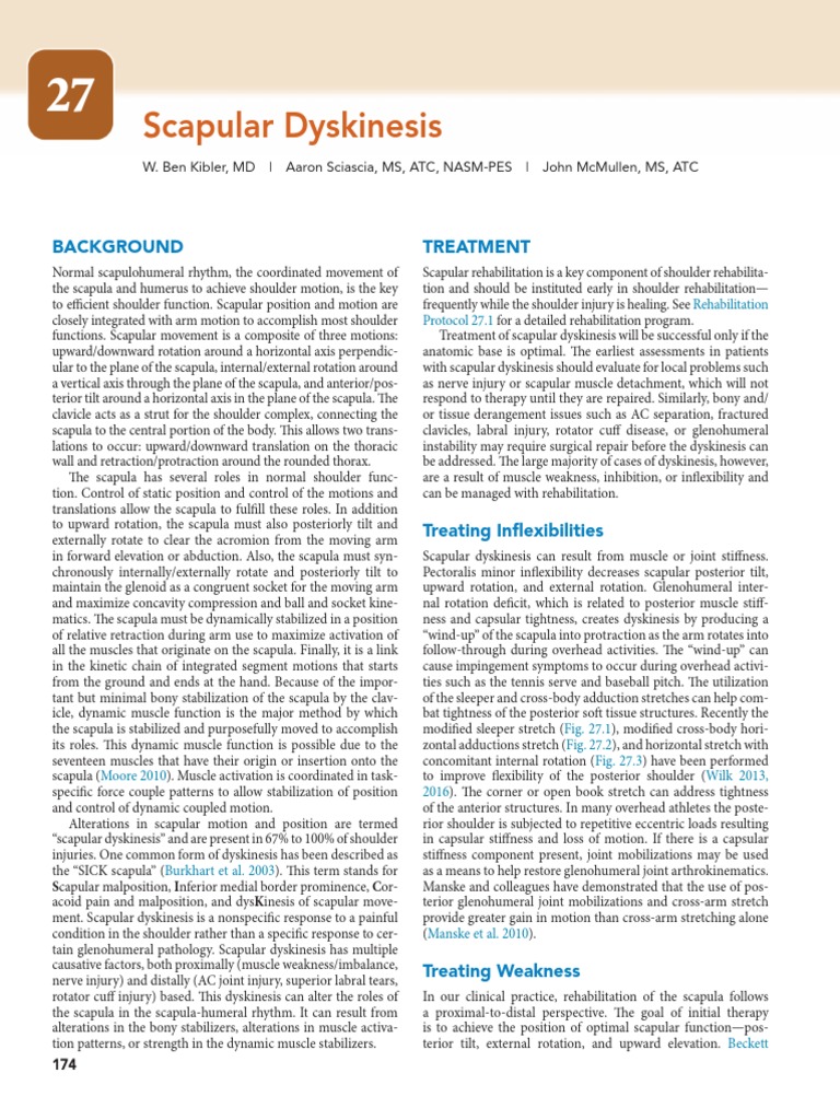 Scapular Dyskinesis Rehabilitation Guide | PDF | Shoulder | Anatomical ...