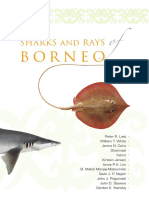 Borneo Shark and Ray Guide