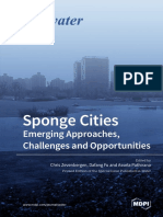 Sponge Cities Emerging Approaches Challenges and Opportunities