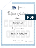30G11W1 - IDS-DTC PIDs y DMM-Carlos Gamarra Loli Cert