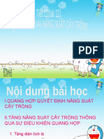 Bai 11 Quang Hop Va Nang Suat Cay Trong