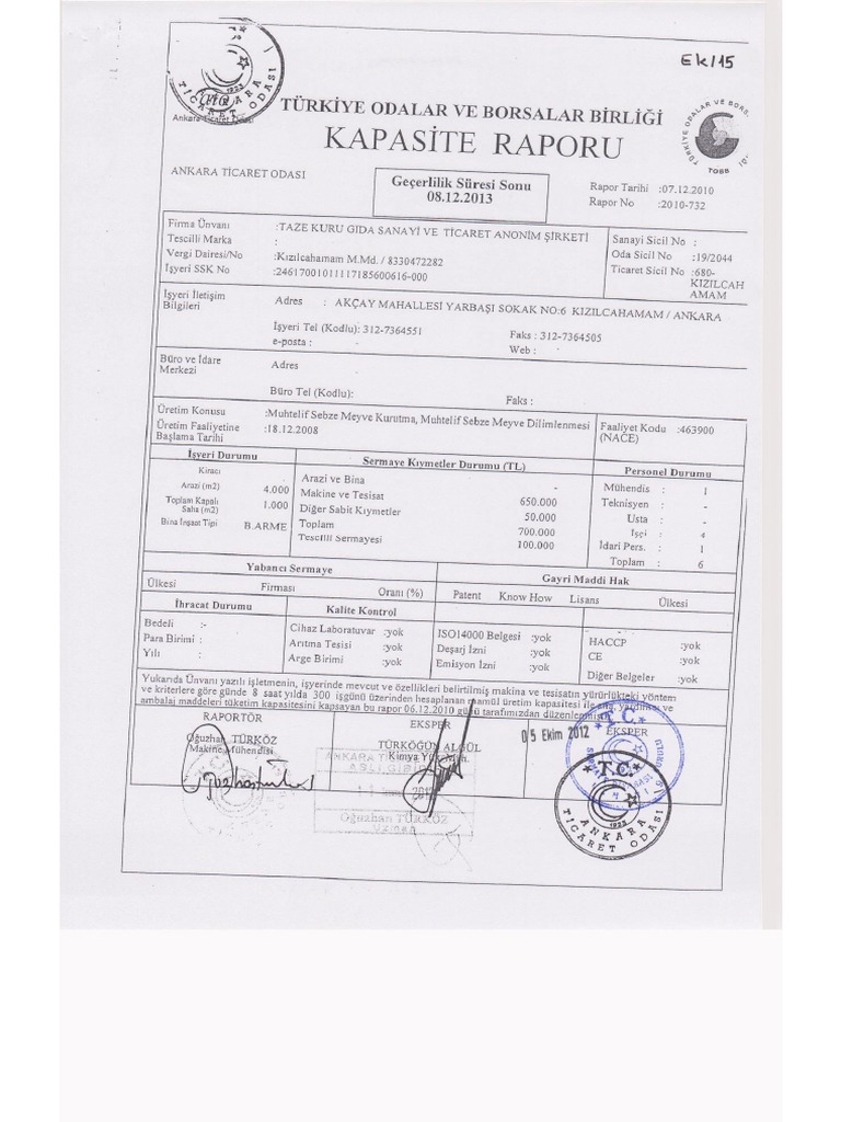 15 Kapasite Raporu PDF