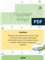 Ekosistem Sawah