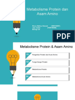 Kelompok 12 - Metabolisme Protein Dan Asam Amino
