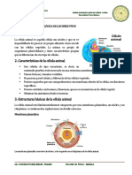 Unidad Biologia de Los Seres Vivos