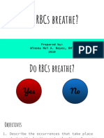 Do RBCs Breathe