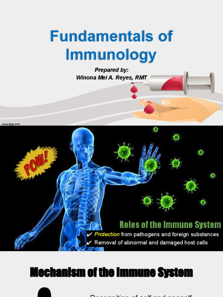 Overview of Immunology Fundamentals | PDF | Lymphocyte | Immune System