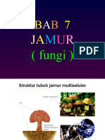 Biologi Fungi