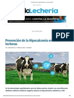 Prevención de La Hipocalcemia en Vacas Lecheras