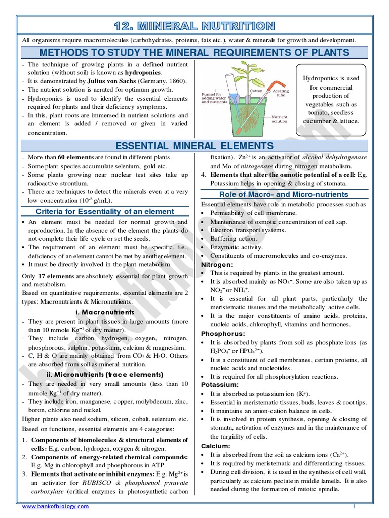12 Mineral NutritionNotes PDF Nutrients Metabolism
