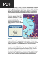 Download Tratamiento de La Diabetes by Delia Velsquez SN55863199 doc pdf