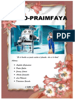 Robo Praimfaya