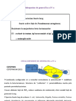 betalactamine_suportcurs_4_de printat