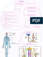 Sistema Nervioso