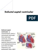 Defectul Septal Ventricular