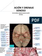 Irrigacion y Drenaje Venoso 2021-2