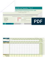 Pe184gv5 Plan Tesoreria Facil