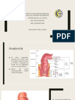 Exploración Rectal