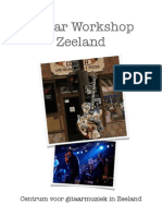 Gitaar Workshop Zeeland