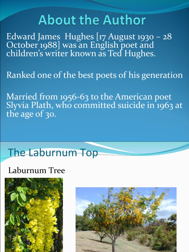 The Laburnum Top Poem