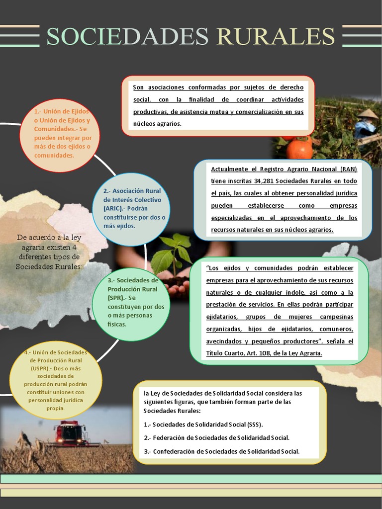 Tipos de Sociedades Rurales en México | PDF | Sociedad | Economias