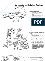 Herbarium - Press