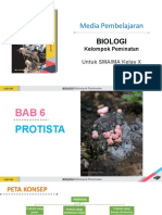 BAB 6_Protista_DAPratiwi_X