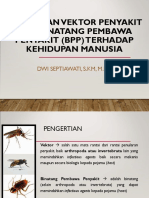 Hubungan Vektor Dan BPP Terhadap Kehidupan Masyarakat