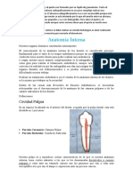 Anatomía interna dental y configuraciones conductos radiculares