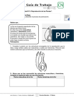 3basico - Guia Trabajo Ciencias - Semana 29