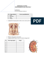 LKPD Sistem Ekskresi