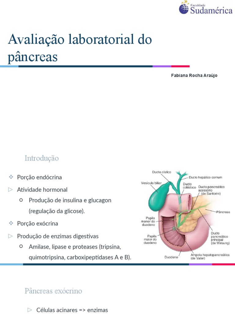 Avaliação Laboratorial do Pâncreas | PDF | Pâncreas | Hipoglicemia