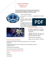 Contenido Científico Neurobiología PDF 2022