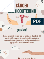 Diapositivas CaCu