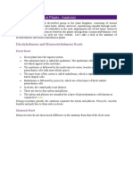 Monocot and Dicot Plants - Anatomy