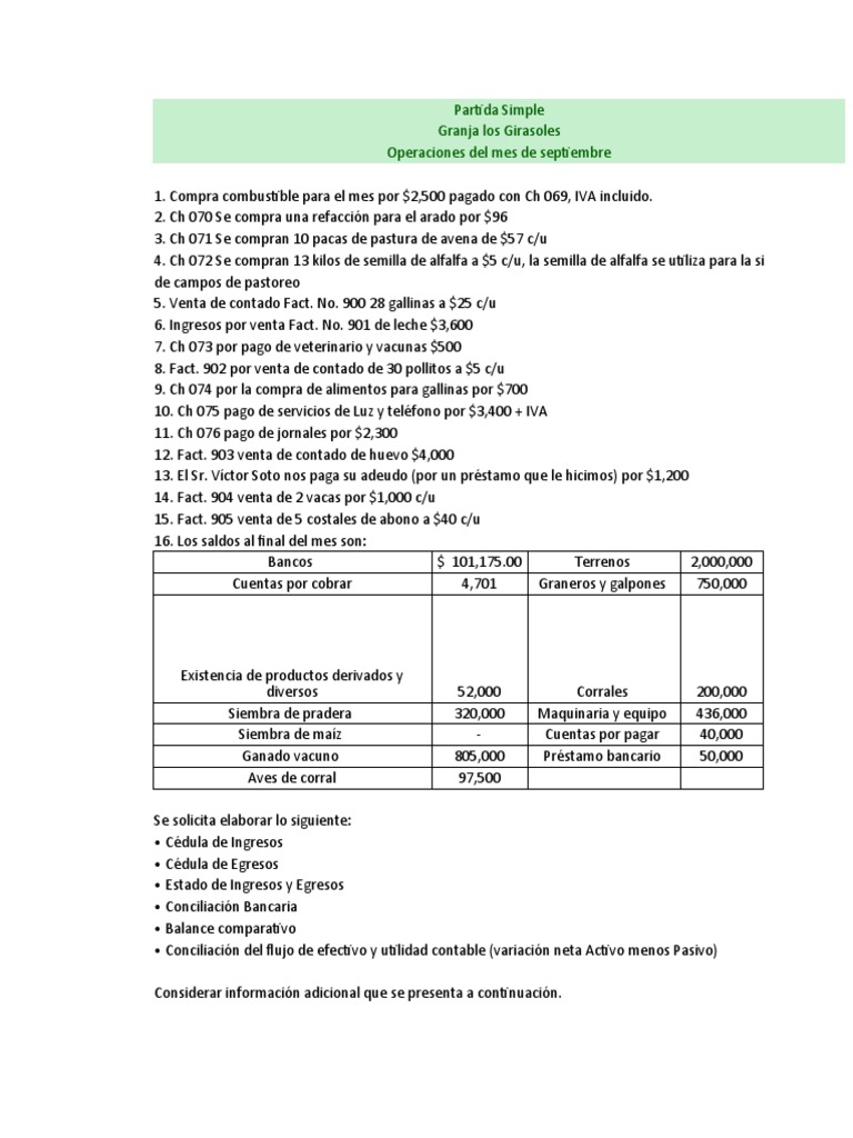 Formatos Partida Simple | Descargar gratis PDF | Contabilidad | Organismos