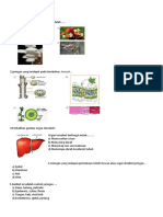 Latihan Organisai Kehidupan