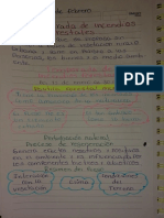 Evidencia (Temporada de Incendios Forestales)