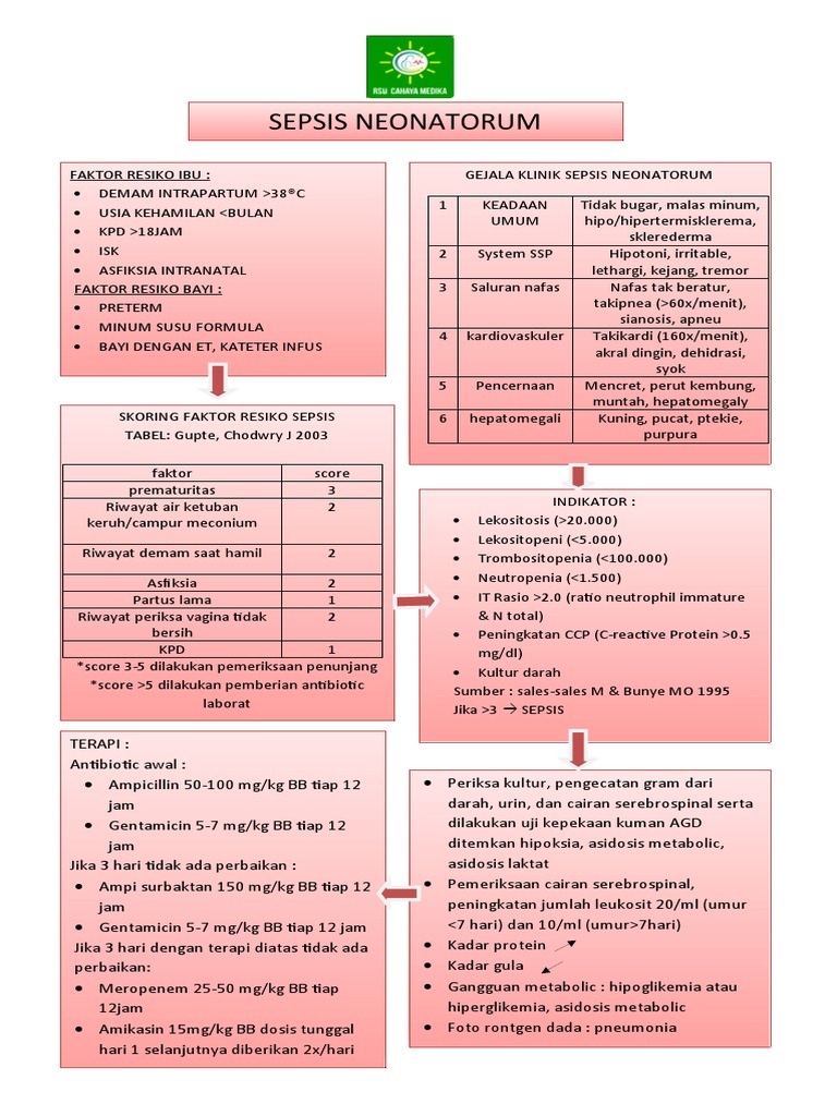 Sepsis Neonatorum PDF