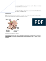 Types of Joints: Fibrous, Cartilagenous & Synovial