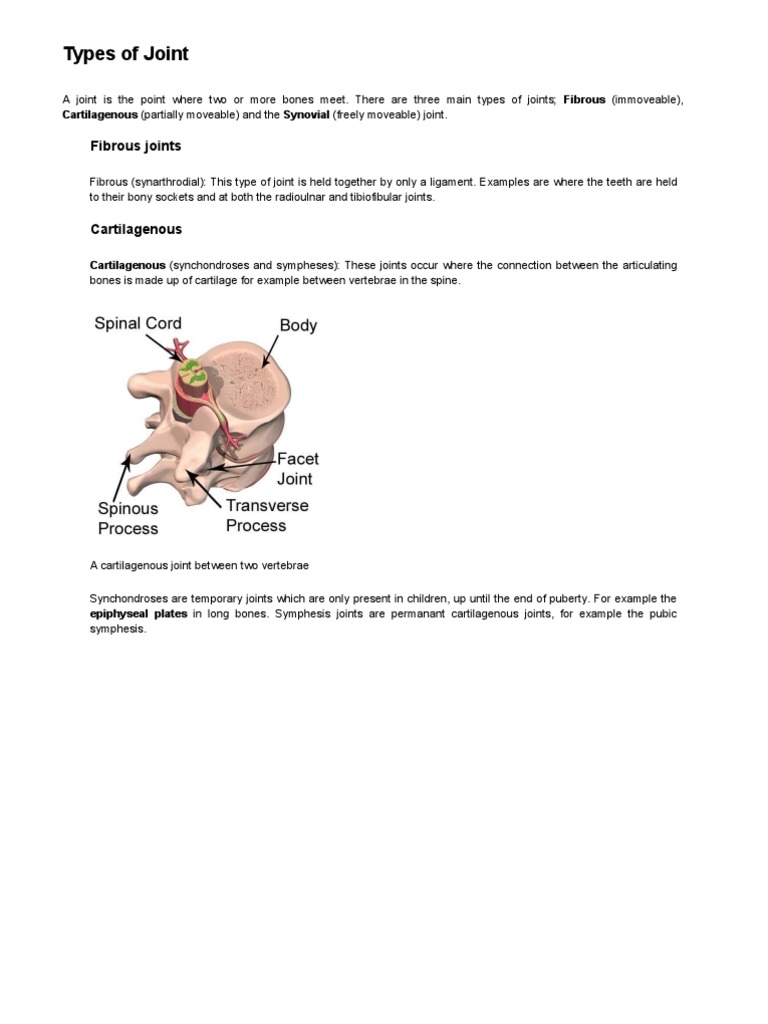 Types of Joint | Anatomical Terms Of Motion | Cartilage
